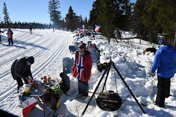 Stemingsbilder fra Birken